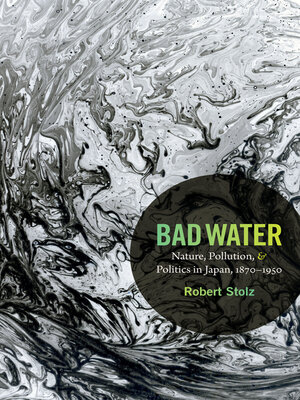 cover image of Bad Water